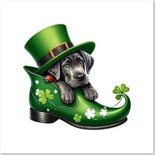 Great Dane Dog Shoes For Patricks Day Posters and Art